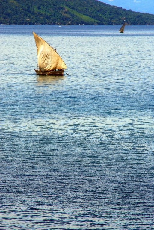 DSC_0142