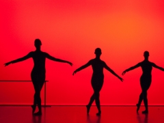 danceweb