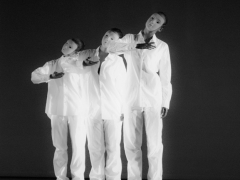 web-104