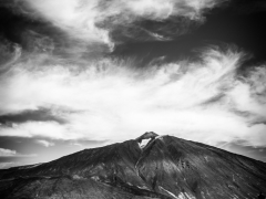 DSC_1976_web