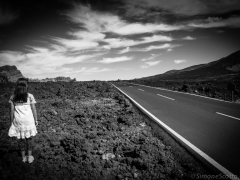 DSC_1979_web